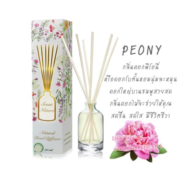 ARCTIC FRESH กลิ่นดอกฟีโอนี่ ก้านไม้หอมปรับอากาศ Reed Diffuser 50ml.